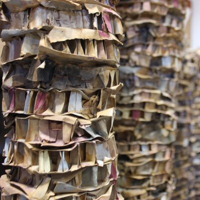 arquitecturas_circulares__1__1_980_2500